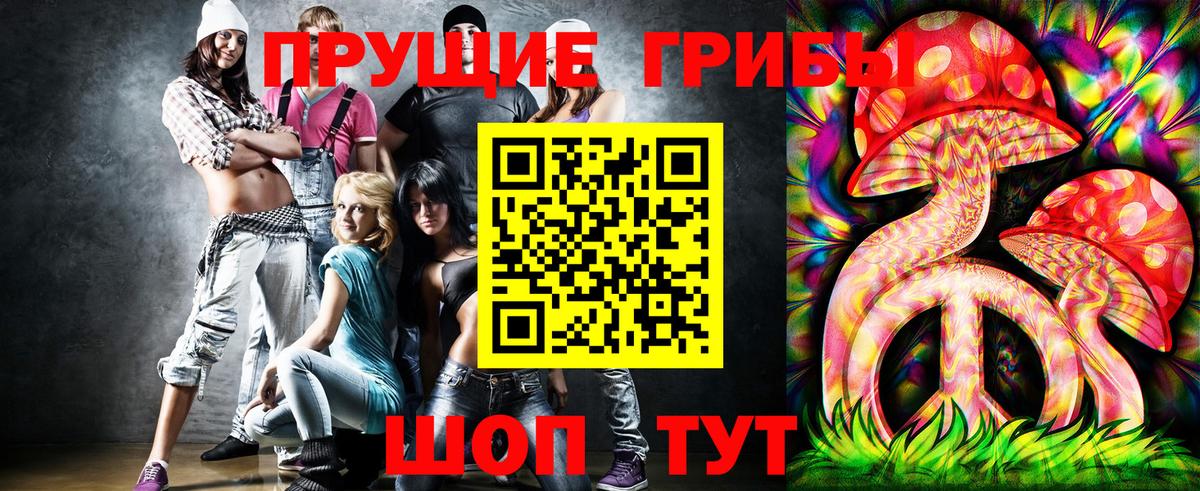 Галлюциногенные грибы Psilocybine cubensis Ржев