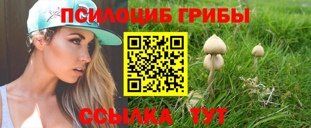 Галлюциногенные грибы Cubensis  где продают наркотики  Ржев  Псилоцибиновые грибы MAGIC MUSHROOMS  Вход с VPN 